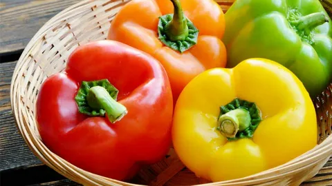 فلفل دلمه رنگی گلخانه ای ارگانیک لوکس